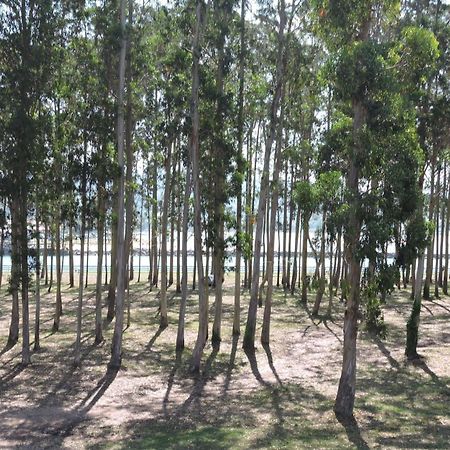 Apartamento Pie De Playa, El Puntal-Villaviciosa Вільявісьйоса Екстер'єр фото